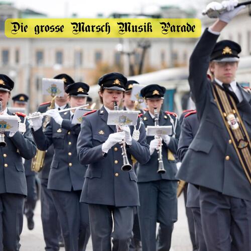 Marsch Der Bayerischen Reservisten cover art