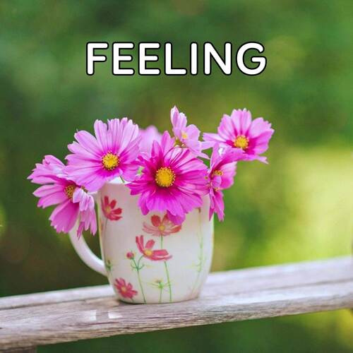 Feeling