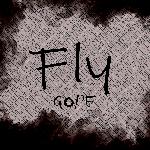 Fly