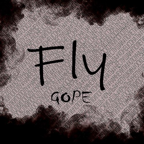 Fly