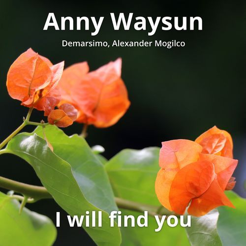 I will find you cover art