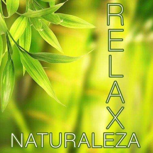 Naturaleza Relax - Las Mejores Músicas Relajantes para Meditación, Clases de Yoga, Reiki, Spa, Salones de Belleza y para Lograr la Paz y la Tranquilidad Interior