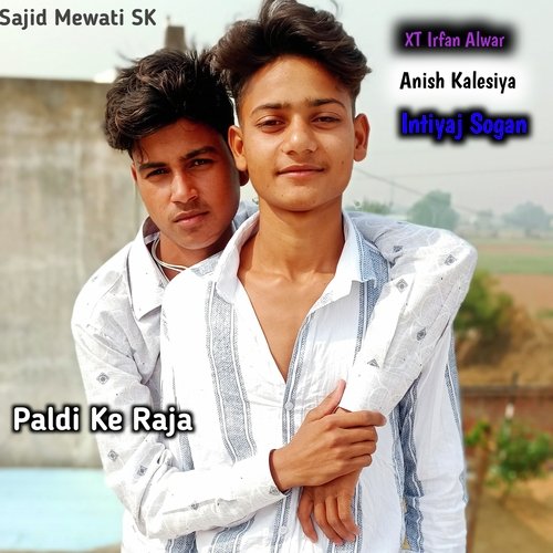 Paldi Ke Raja