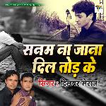 Sanam Na Jana Dil Todkar