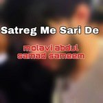 Satreg Me Sari De artwork