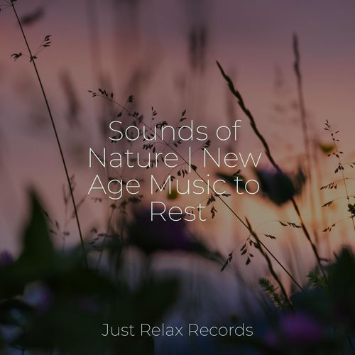 Sounds of Nature | New Age Music to Rest