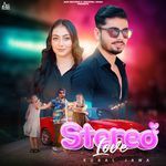 Stereo Love artwork