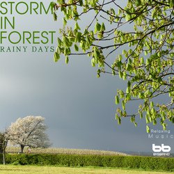 Storm in Forest
