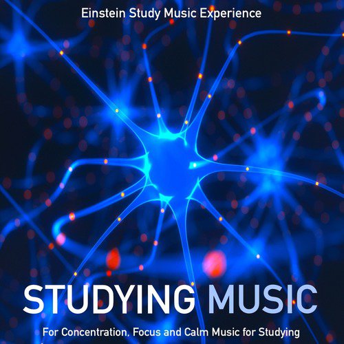 Studying Music for Concentration, Focus and Calm Music for Studying_poster_image