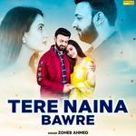 Tere Naina Bawre