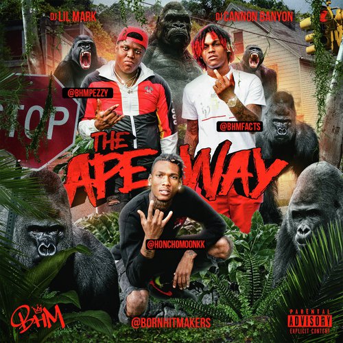 The Ape Way_poster_image