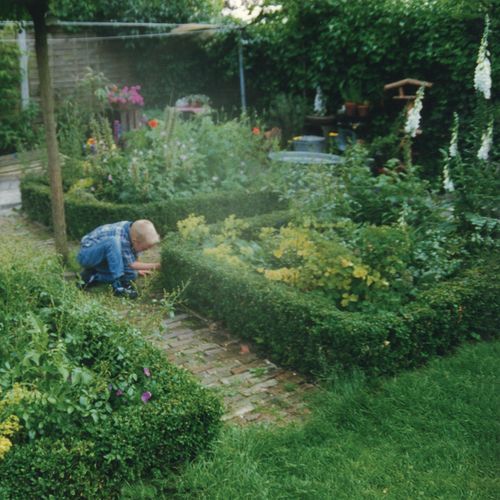I Better Tend This Garden cover art