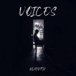 VOICES-B1EeaSNaVEk