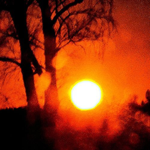 You and Me Watching the World Burn