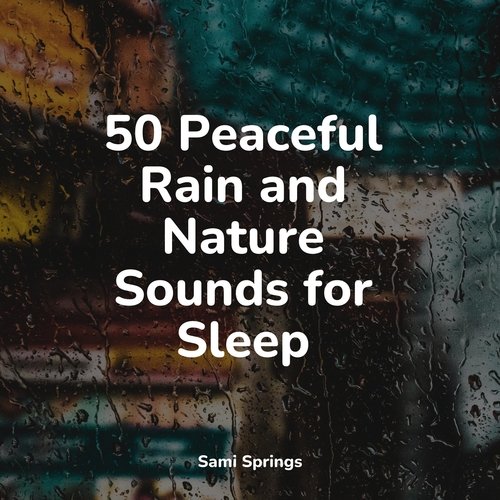 50 Peaceful Rain and Nature Sounds for Sleep_poster_image