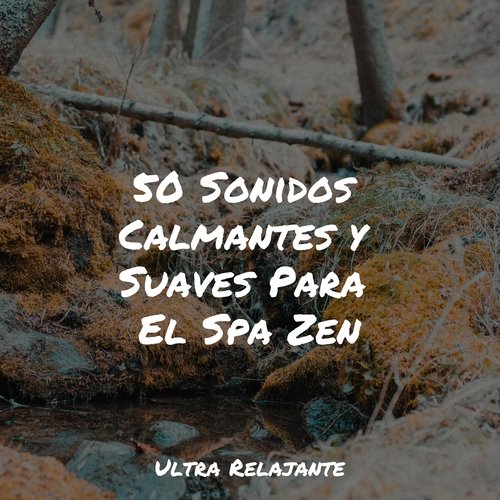 50 Sonidos Calmantes y Suaves Para El Spa Zen