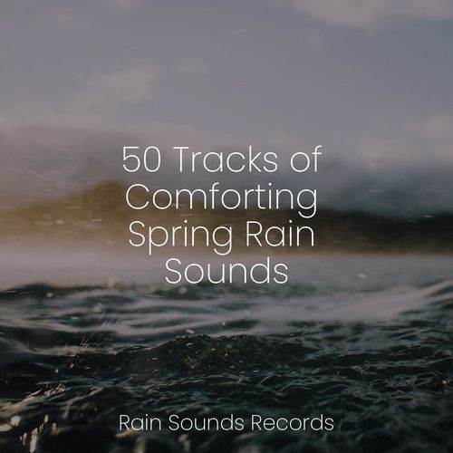 50 Tracks of Comforting Spring Rain Sounds