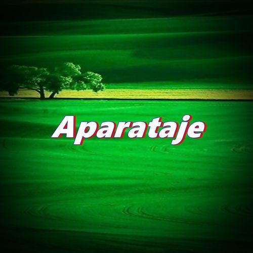 Aparataje