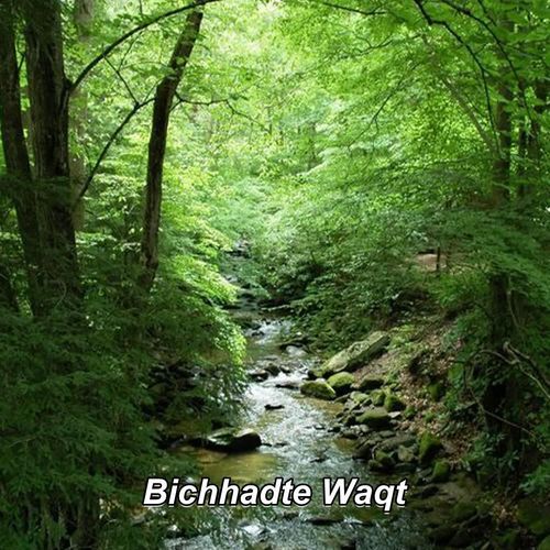 Bichhadte Waqt
