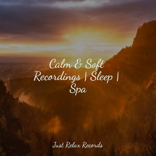 Calm & Soft Recordings | Sleep | Spa