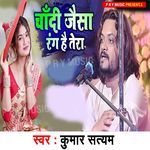 Chandi Jaisa Rang Hai Tera