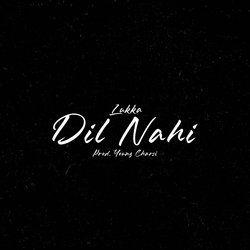 Dil Nahi-AiMlUENaTwA