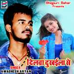 Dil Kitna Dukhala Jab Kehu Chor Jala