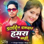 Dulhin Damdar Hamra Chahi
