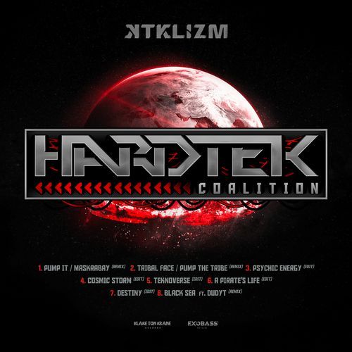 Destiny (Hardtek Remix) cover art