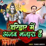 Haridwar Mein Ajab Nazara Hain