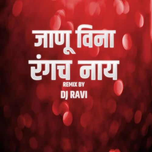 Janu Vina Rangach Nay(DJ Ravi)