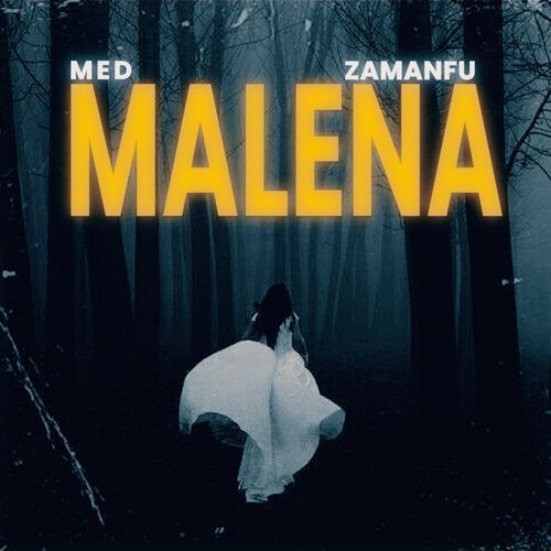 MALENA_poster_image