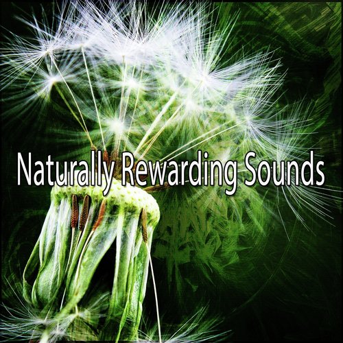 Naturally Rewarding Sounds_poster_image