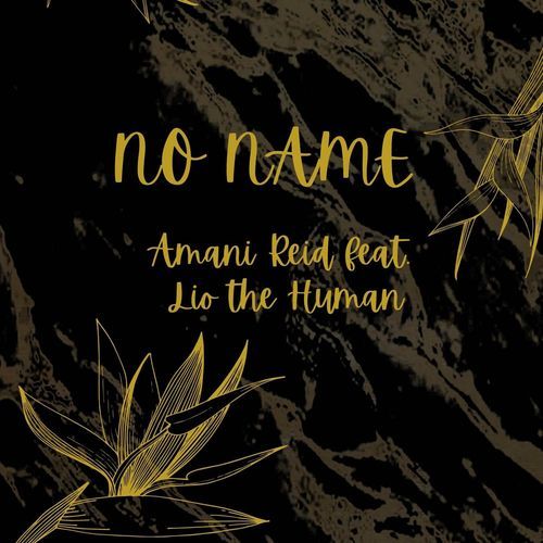 No name (featuring Lio the Human)