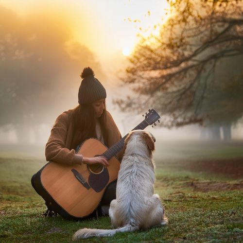 A Dog's Dream cover art