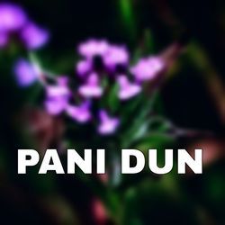 PANI DUN-IF5SXj9kQUo