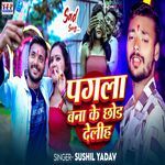 Pagla bana ke chod deliha