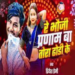 Re Bhauji Pranaam Ba Tora Dhodhi Ke