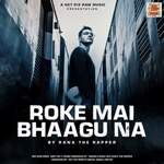 Roke mai Bhaagu Na artwork