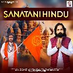 Sanatani Hindu