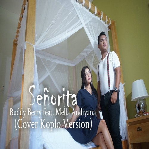 Señorita (Cover Koplo Version)_poster_image