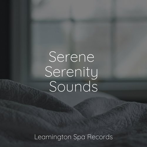 Calm cover art