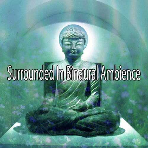 Surrounded In Binaural Ambience_poster_image