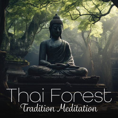 Thai Forest Tradition Meditation_poster_image