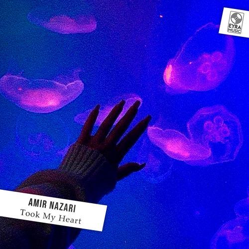 Took My Heart cover art