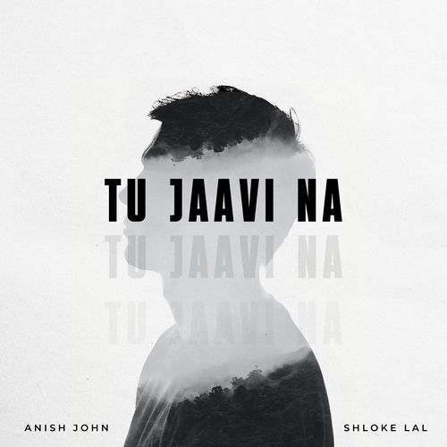 Tu Jaavi Na