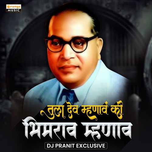 Tula Dev Mhanav Ki Bhimrao Mhanav (DJ Remix)