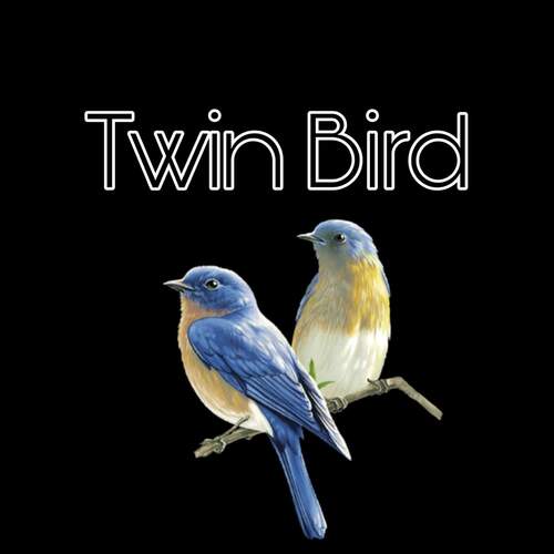 Twin Bird