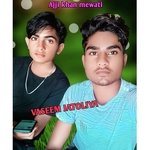 VASEEM JATOLIYA (Mewati)