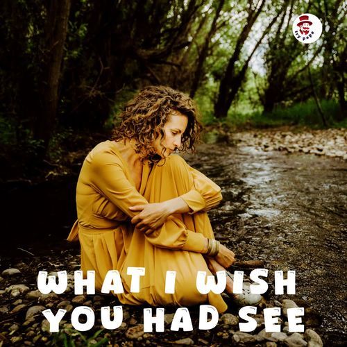 What I Wish You Had See